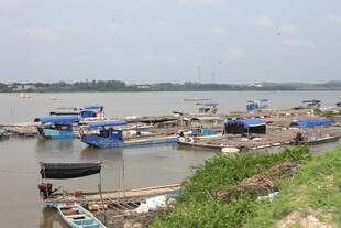 江边停泊的多彩船只