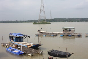 江边停泊的多彩船只