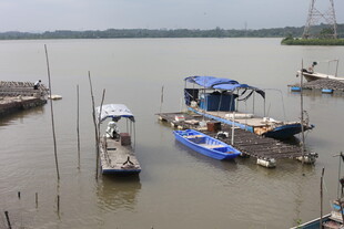 江边停泊的多彩船只