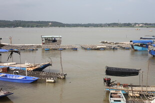 水上停泊的多艘船只