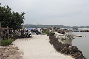 海边小路旁的休闲场景