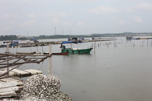 宁静水边停泊的船只景象