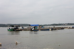 宁静水边停泊的多彩船只