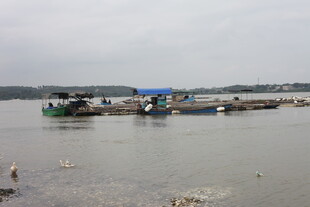 江边停泊的多彩船只