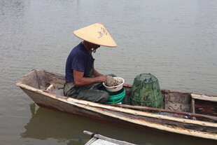 水乡渔夫驾舟劳作场景