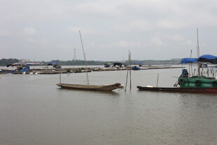 宁静港湾中的停泊船只