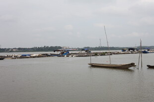 宁静港湾中的停泊小船