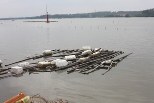 水上漂浮的养殖设施