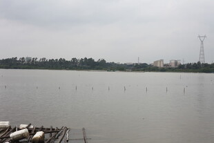 宁静湖面与远处林立电塔