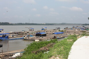 江边停泊的多彩船只