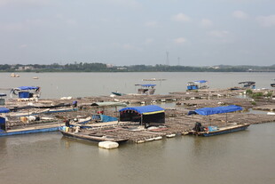 江边码头停泊众多船只