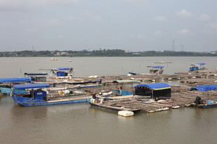 水上养殖设施场景