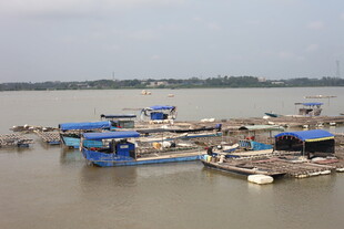 水上停泊的蓝色船只码头