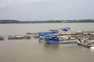 水上蓝色蚝排设备场景