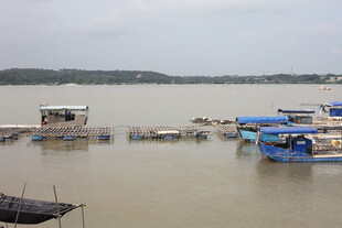 江边停泊的多彩船只