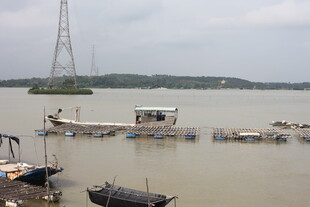 江边停泊的船只与高塔