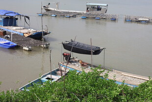 河畔停泊的各式船只