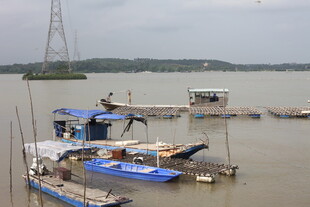 江边停泊的多彩船只