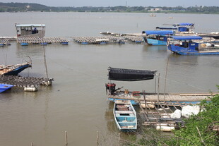 水上停泊的多彩船只