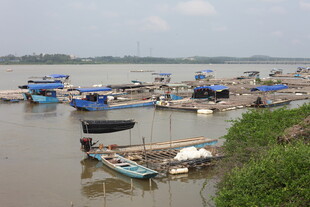 江边停泊的众多船只