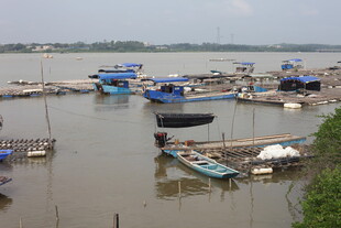 渔港停泊的众多船只