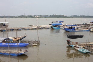 水上停泊的多彩船只