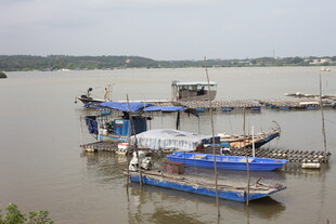 江边停泊的多彩渔船