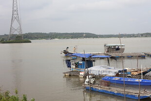 江边停泊的多彩船只