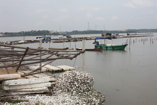 江边停泊的船只与杂物