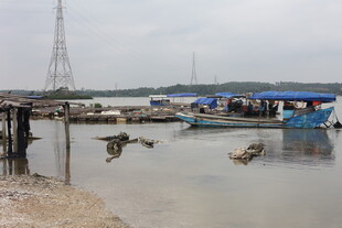 海边码头停泊的多彩船只