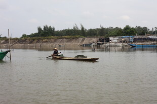 河上小船与岸边景象