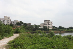 城郊小路旁的建筑与绿植