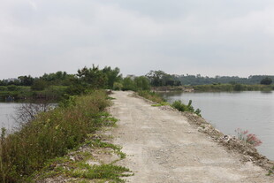 乡间临水小路风景