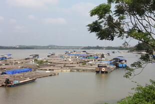 水上休闲场景船只与篷帐