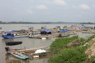 江边停泊的众多渔船