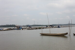 宁静港湾中的停泊小船