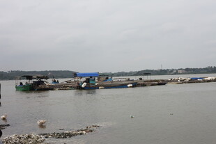 江边停泊的船只与码头