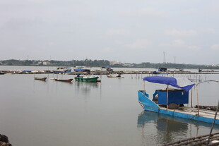 水上蓝舟静谧水乡景致