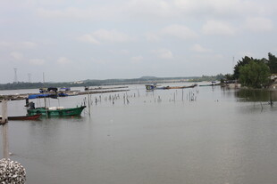 宁静水乡的水上风光