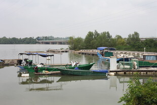 湖畔停泊的多彩船只