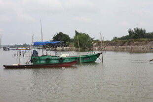 河上停泊的几艘渔船