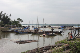 河畔停泊的多彩船只