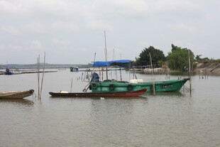 江边停泊的几艘渔船