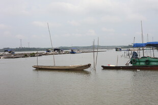 宁静港湾中的停泊船只