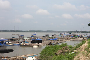 江边码头停泊众多船只