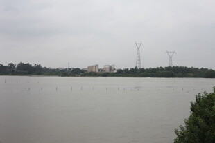 湖畔远景电线塔矗立天际