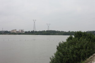 江边绿植与远处输电塔景观