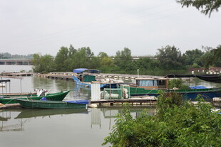 宁静湖畔停泊的多彩船只