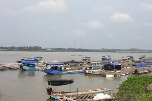 江边停泊的多彩船只