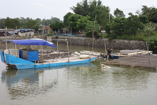 河畔停泊的蓝色小船